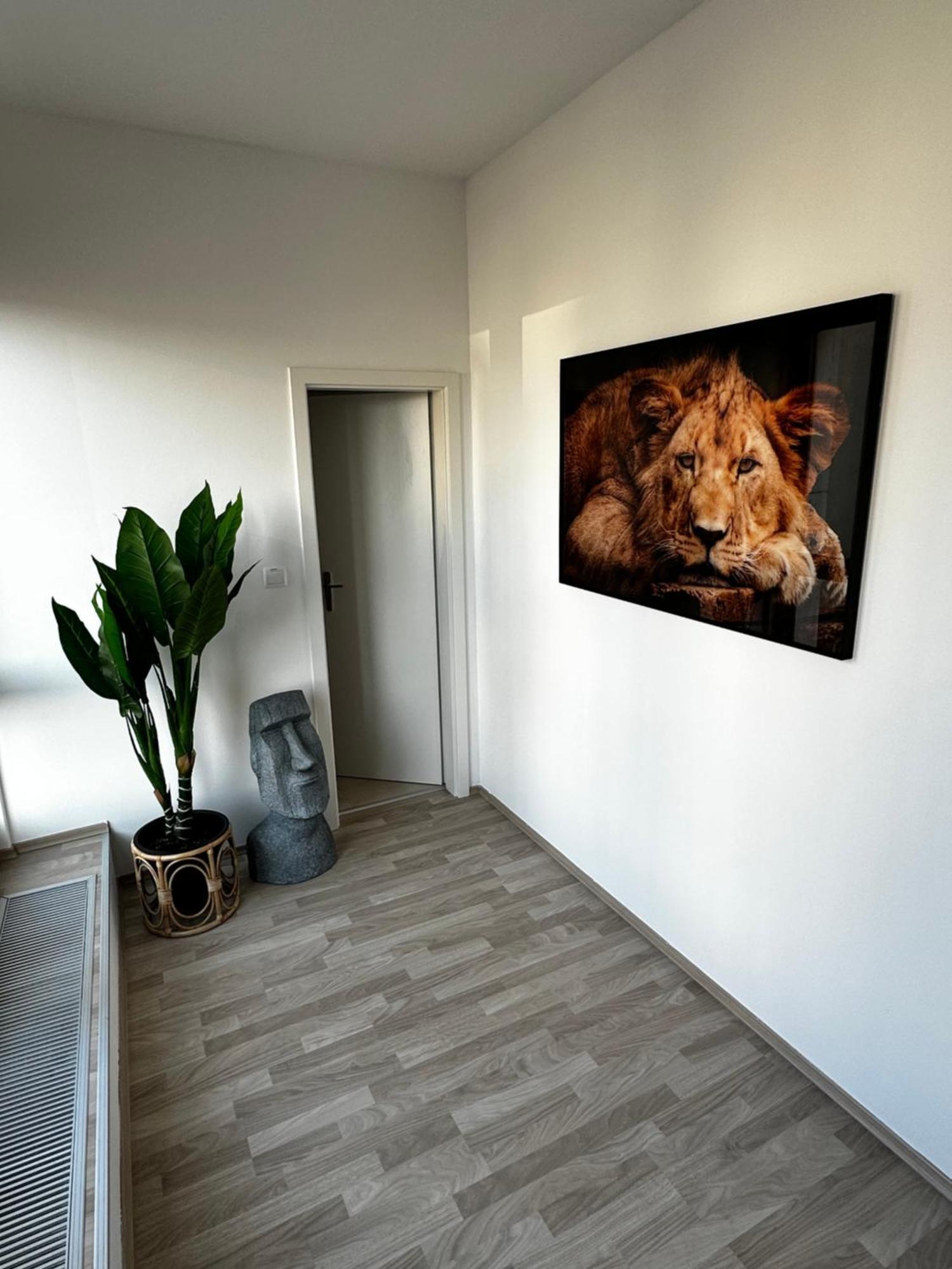 Appartamento Luxury Penthouse At The Historical Centre With Free Parking Bratislava Esterno foto
